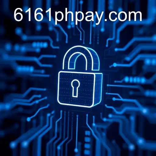 Navigating Privacy Policies: The Case of 6161PH.COM